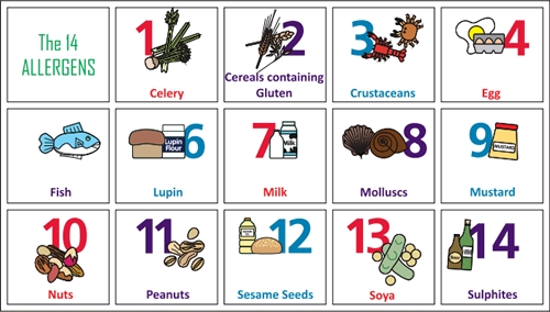 Allergy Awareness Information image